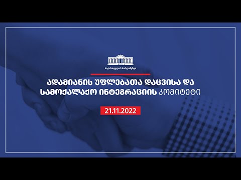 ადამიანის უფლებათა დაცვისა და სამოქალაქო ინტეგრაციის კომიტეტის სხდომა - 21.11.2022