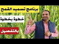 برنامج تسميد القمح بالتفصيل ري ورش ورقي زتونة زراعية