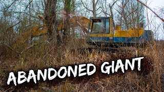 LOST! We Found an Excavator hiding in the swamp! Will it DIG again?