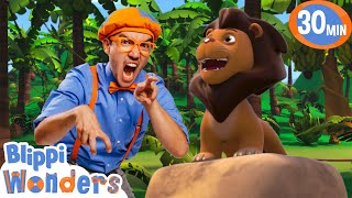 blippi learns about lions blippi wonders educational videos for kids