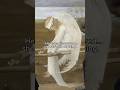 Can angels be vulnerable?.. #painting #history #art #angel #arthistory #artfacts #artanalysis #facts