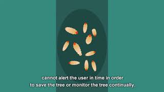 Palm Tree IoTree Sensor - English