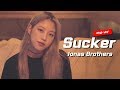 Jonas Brothers &quot;Sucker&quot; cover by TIN ❤ 조나스 브라더스노래│Acoustic version │ 노래추천 │ 팝송추천 │ Coversong