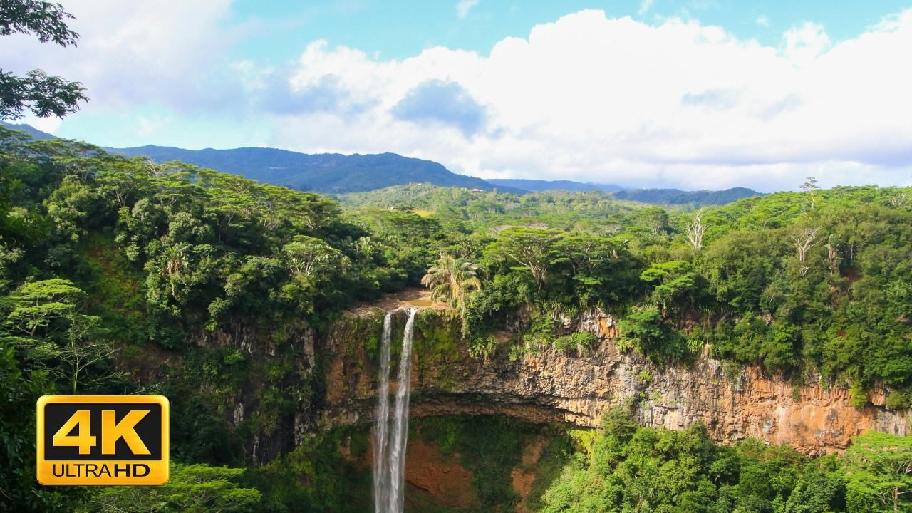 Peaceful Forest in 4K UHD | Relaxing Nature Sounds & Cinematic Woodland Scenery