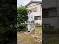 都会に出ない本当の理由
