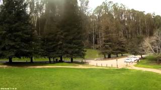 Maiden Flight of my Vortex Pro 250