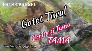Gatot Tiwul