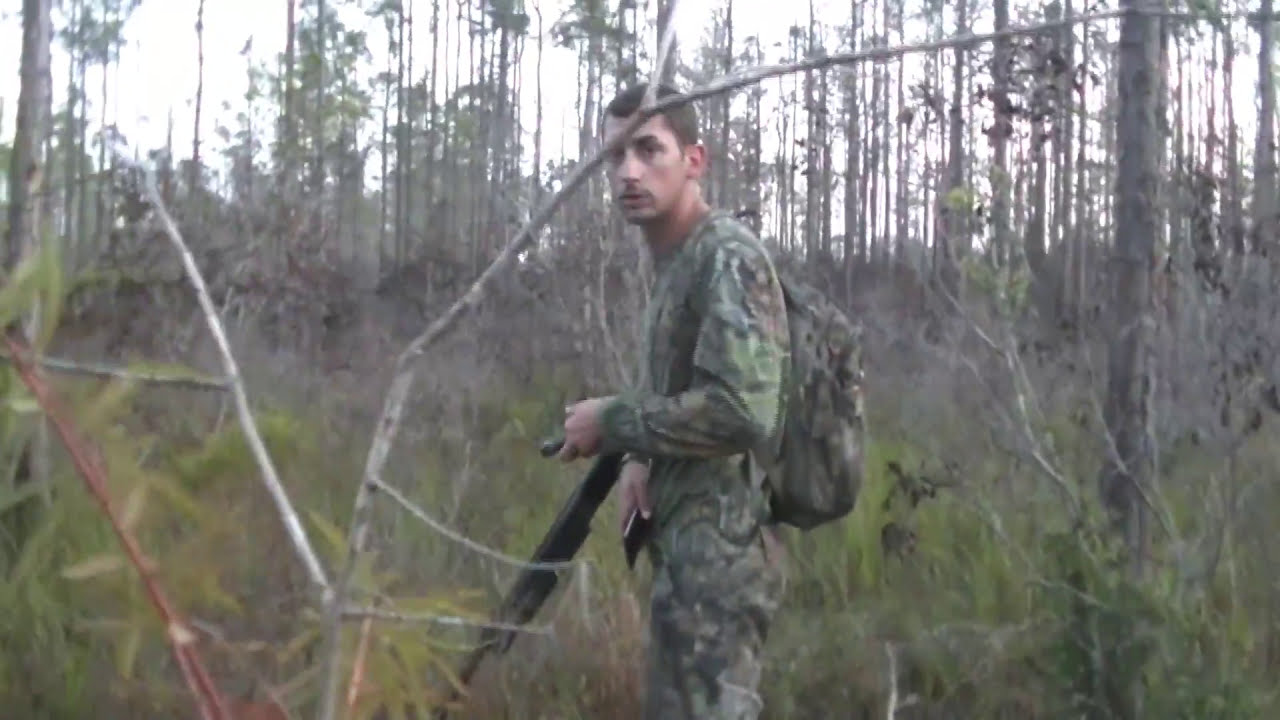 South Florida Turkey Hunting (Public Land) 