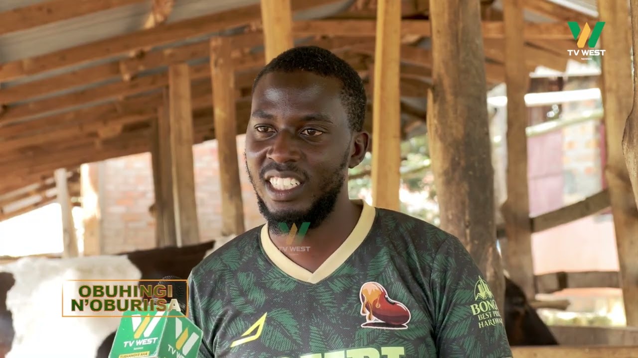 OBUHINGI N'OBURIISA: Twataayaayira Sitema Farm omuri Runyinya, Bugongi omuri Sheema..