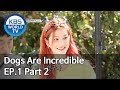 Dogs are incredible | 개는 훌륭하다 EP.1 Part 2 [SUB : ENG/2019.11.27]