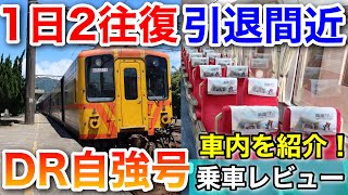 【引退間近】1日2往復だけのディーゼル自強号DR3100型乗車レビュー【台湾周遊旅 #8】