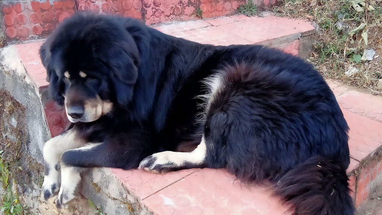 कुछ बाते करते है 😊Radhe Radhe back to back support ✅🤗