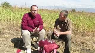 Mezcal Tasting 101