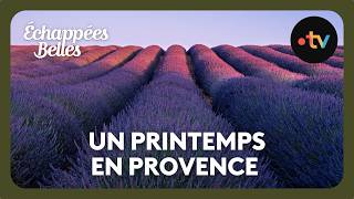 Un printemps en Provence - Échappées belles screenshot 5