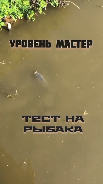 Запреты на ловлю рыбы 2023. Запрет рыболовства. Запреты на ловлю рыбы 2023. Рыбалка запрещена. Ограничения на лов рыбы.
