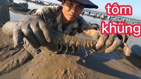 bắt tôm tít biển ở bảy lầy chinh phục những hang tôm(lê nghiã cần giờ)