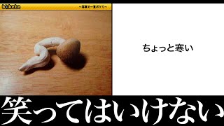 【大喜利】殿堂入り確定の面白ボケてがツッコミどころ満載だったwwwwwwww傑作選 #10【なろ屋】【ツッコミ】【衝撃】