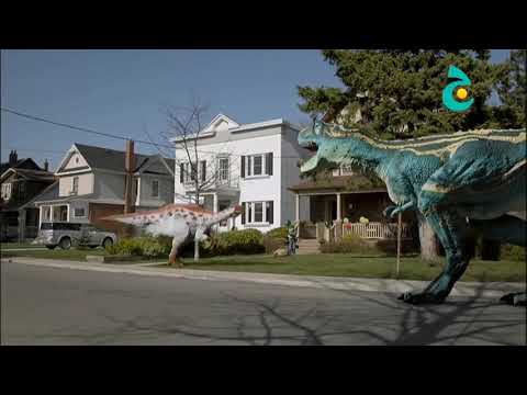 Therizinosaurus Amargasaurus And Albertosaurus 