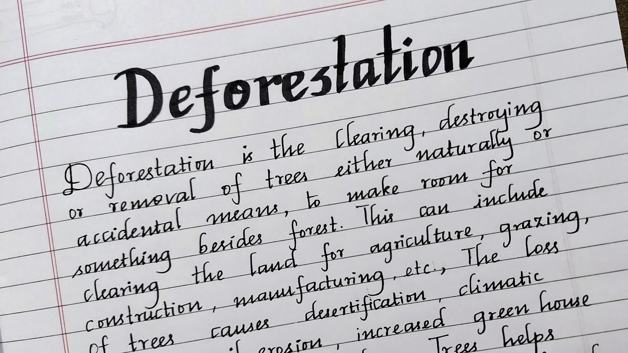 deforestation expository essay