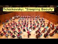 チャイコフスキー / バレエ「眠れる森の美女」より「ワルツ」 東京科学大学管弦楽団 志賀高原サマーコンサート2025
