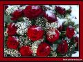 И.Аллегрова-Свадебные цветы.wmv