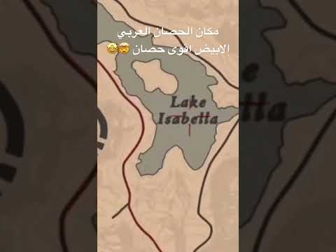 مكان الحصان العربي الابيض في ردد ردمشن 2