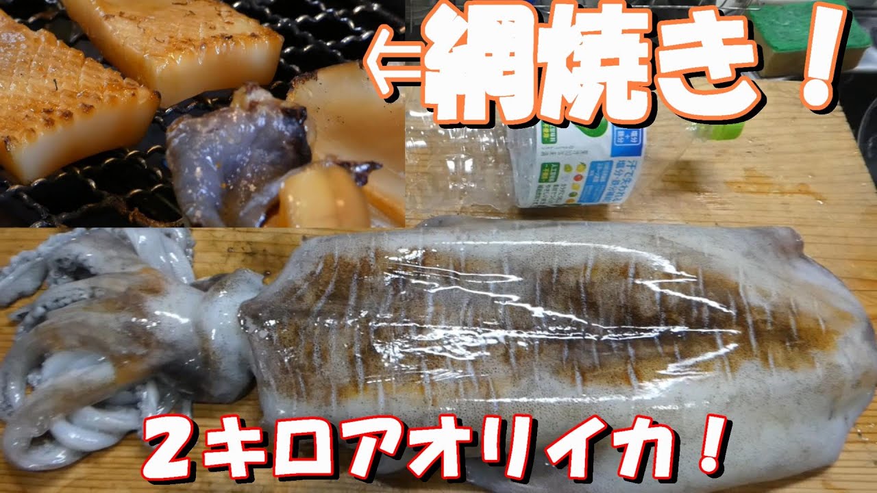 【2キロアップのアオリイカ料理】＃料理＃アオリイカ＃網焼き