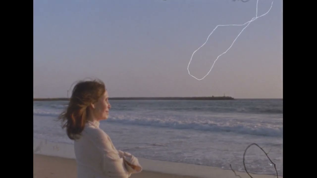 Hayfitz - What's Wrong (Official Lyric Video)