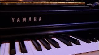 Darıxdım (cover)