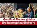 Qoodinsi shanee gidduu jiru hammaataa dhufeera