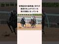 宝塚記念の最終追い切りが最高の仕上がりだった馬が話題となっている #競馬 #競馬予想 #shorts
