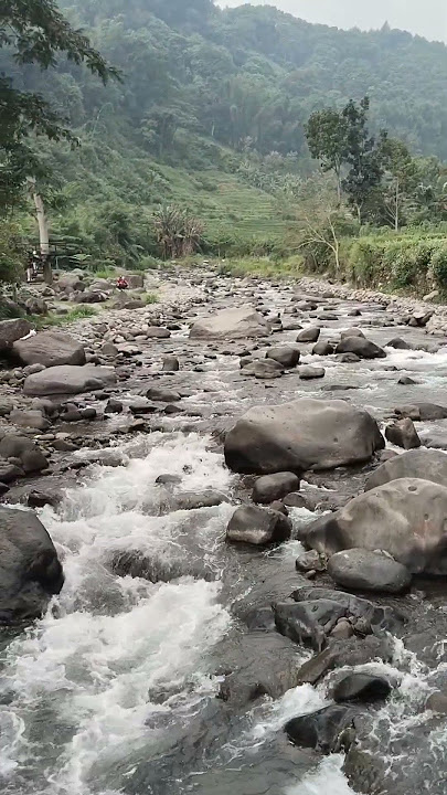 Nature river 😍😍 #shortvideo #shorts #nature #trending #video