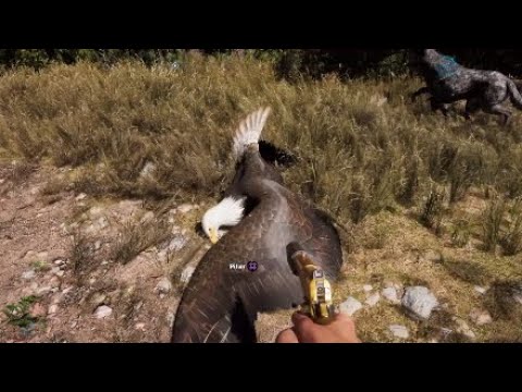 Vidéo: Chasse Far Cry 5: Tous Les Emplacements Des Animaux, Y Compris Les Emplacements Des Ours, Des Aigles, Des élans Et Des Lièvres