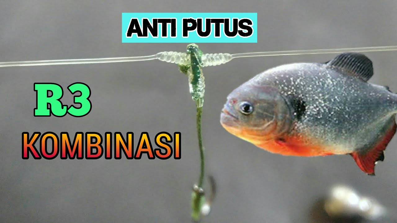 Rangkaian Bawal Anti Putus ‼️ R3 Kombinasi
