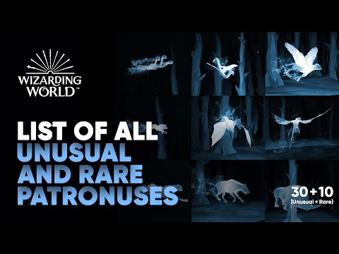 Video: Wie heeft een patronus van de witte zwaan?