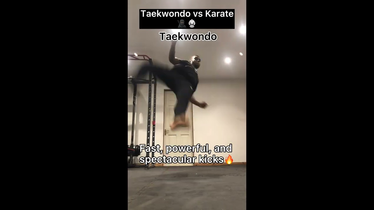 TAEKWONDO VS KARATE