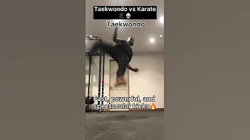 TAEKWONDO VS KARATE 