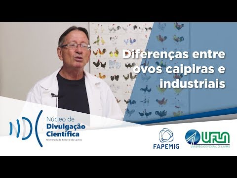 Vídeo: Qual é a diferença entre agricultura industrial e caipira?