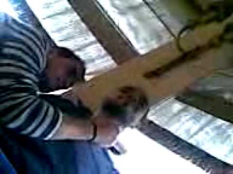 Abo Ammar Wil Shafra 