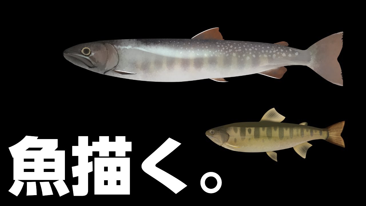 【お絵かき配信】さかなかく！カニもサンショウウオも許せるけど君が「魚」は無理あるわ！！！！！でも頻出種だからいいよ【Fish Drawing】 