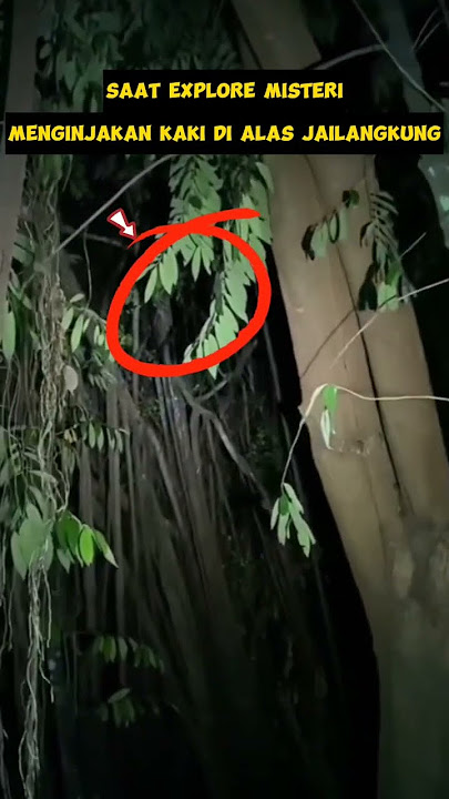 penampakan burung gagak saat explore hutan jailangkung #jelangkung #kuntilanak #hutanangker