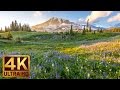 3 heures u4k relax park national rainier montagne washington les sons de la nature  1