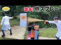 激辛！熊スプレー/ Super Spicy Bear Spray! *Audio in EN / DE / FR / PT / ES
