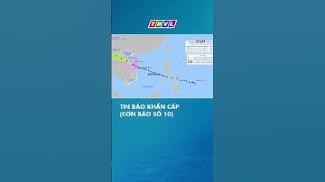 Tin bão khẩn cấp (cơn bão số 10)