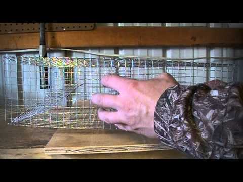 Homemade crayfish trap - YouTube