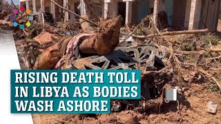 Libya death toll expected to rise as bodies wash ashore