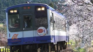 のと鉄道の桜　その4