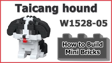 How to Build Mini Blocks Taicang hound W1528-05 Review Instructions Specifications