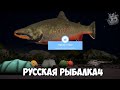 Русская Рыбалка 4 !Стрим Челлендж на Катушку МОНСТР!- Раздаю приманки всем