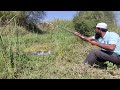 amazing fishing video in Village |Fisher Man Catching in Big catfishes in Deep ponds